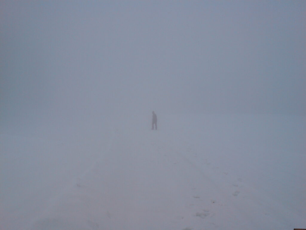 Rowan searching for the track