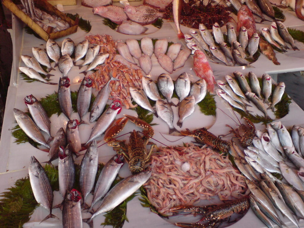 Fish at the market in Istanbul