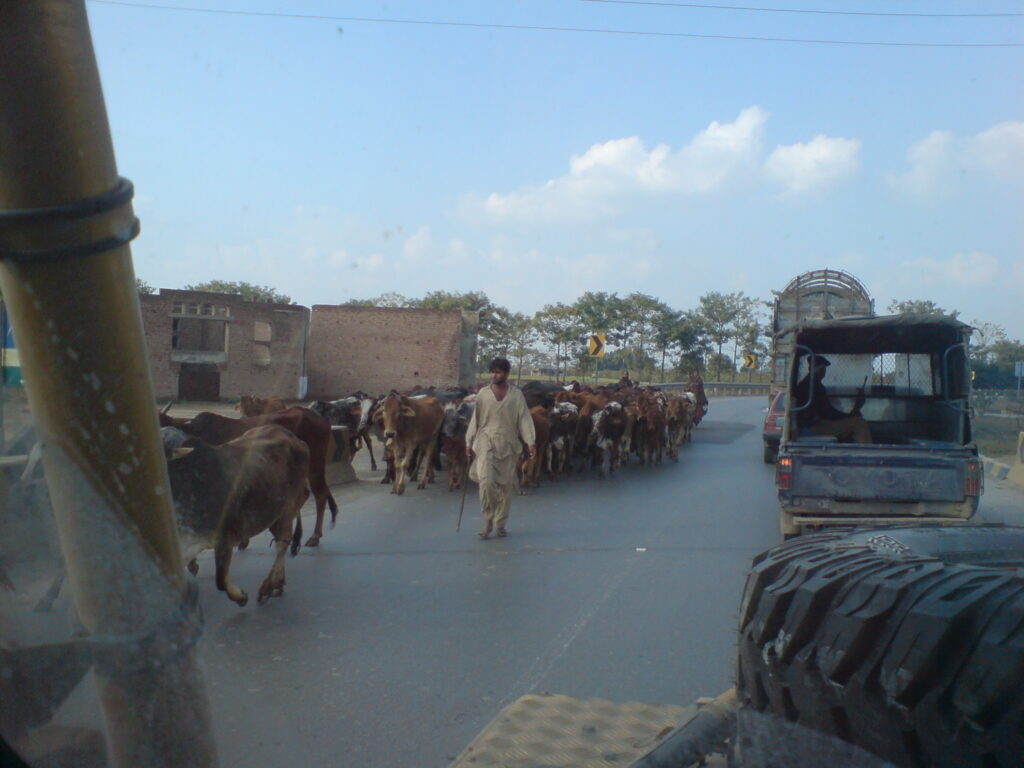 Pakistani traffic Jam