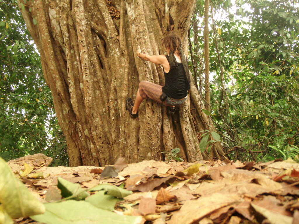 Warren climbing a huge tree