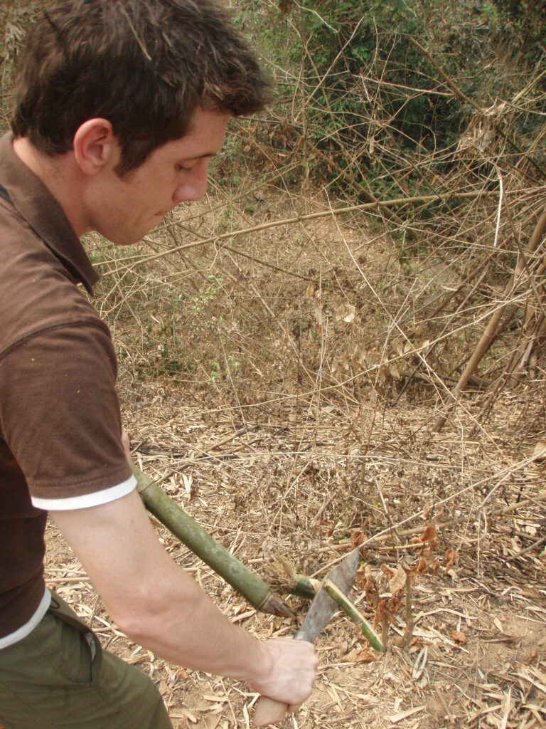 Preparing the bamboo